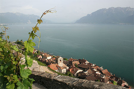 Village de St Saphorin