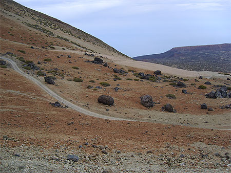 Teide eggs