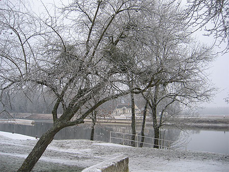 Bords du Cher sous la neige