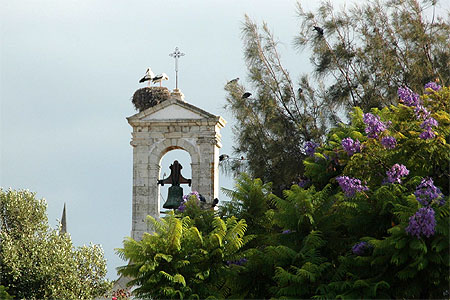 Cigognes 