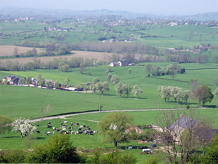 Bocage