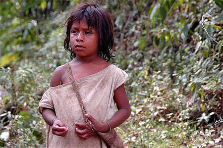 Jeune indig�ne Kogui