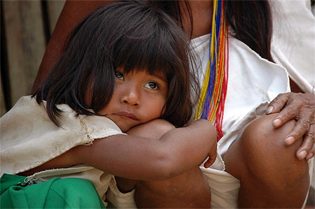 Jeune indig�ne Kogui