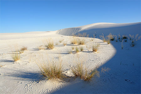 Alkali trail