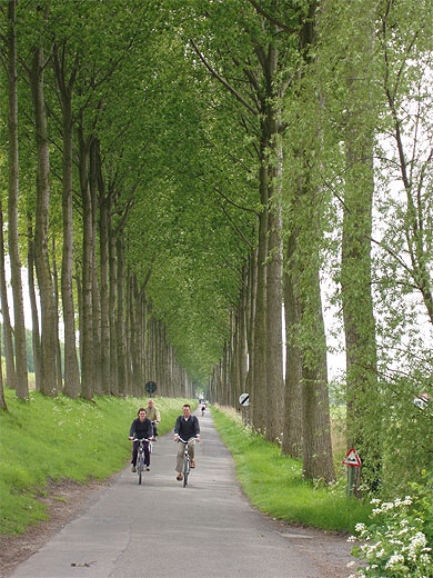 Cyclistes