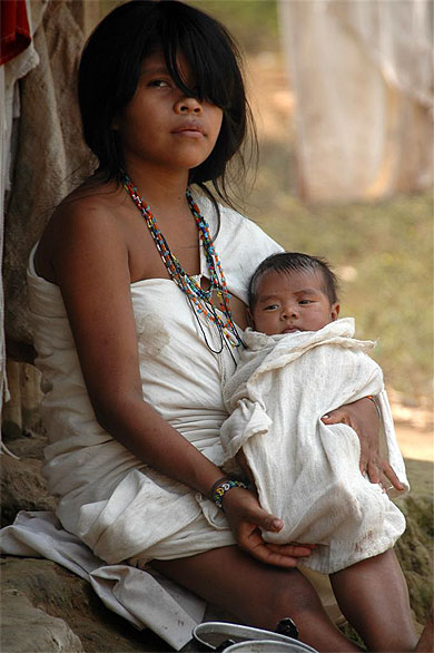 Jeunes indig�nes Koguis