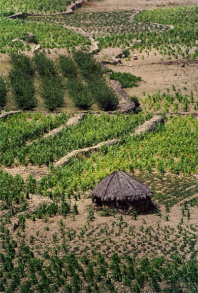 Ribera de passagem
