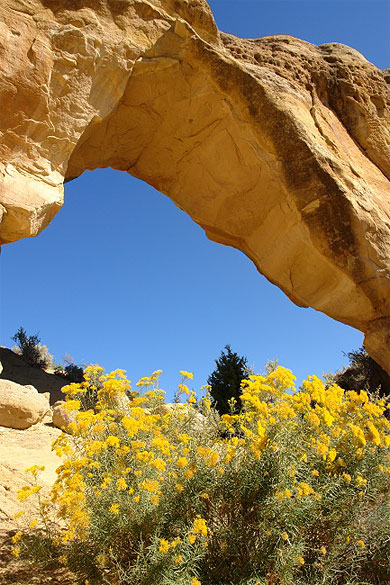 Navajo arch