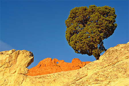 Garden of the gods