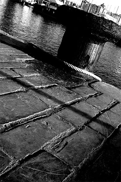 Le quai pav�