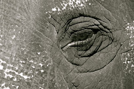 Regard