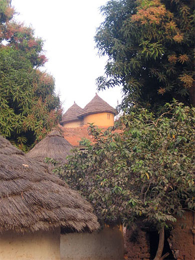 Cases traditionnelles