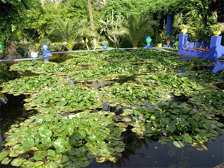 Jardins de Majorelle