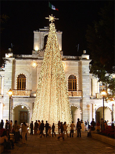 D�co de fin d'ann�e � Oaxaca