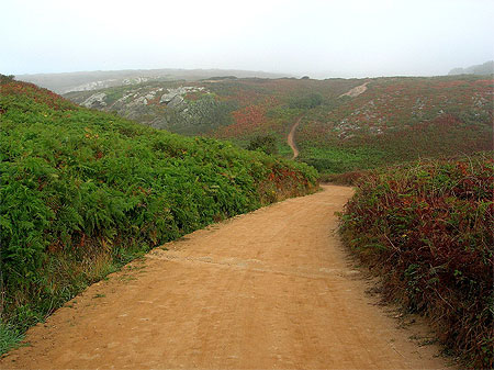 Avenue de la c�te sauvage