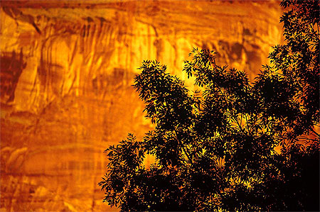 Capitol Reef