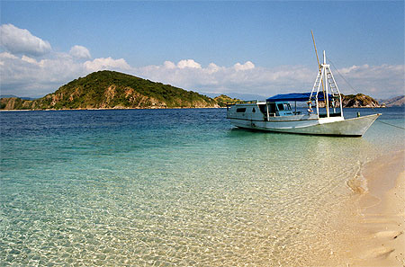Ile au large de Labuhanbajo. Flores