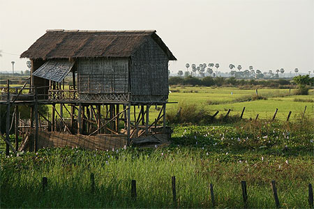 Campagne de Siem Reap
