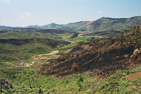 Ifasina