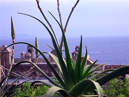 Ischia