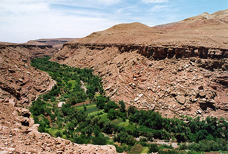 Maroc haut Atlas. Rivi�re verte.