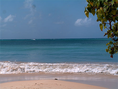 Plage des Salines