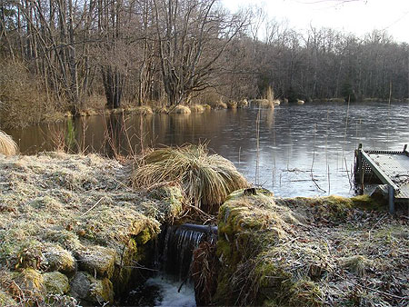 Etang en Morvan