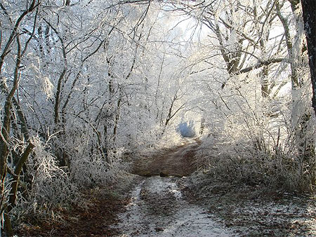 Givre