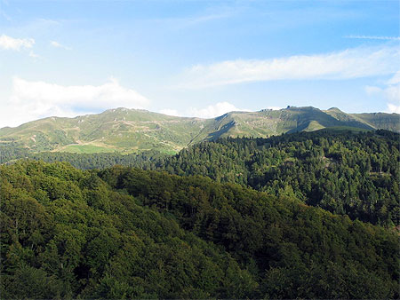 Paysage auvergnat