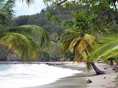 Martinique