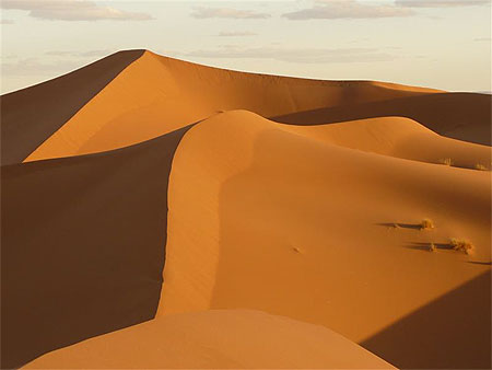 Dunes du Sahara
