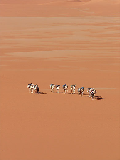 Caravane