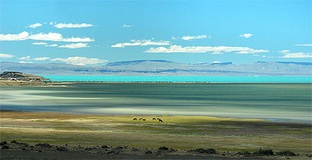 Lago argentino
