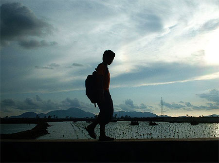 Sur le chemin de l'�cole