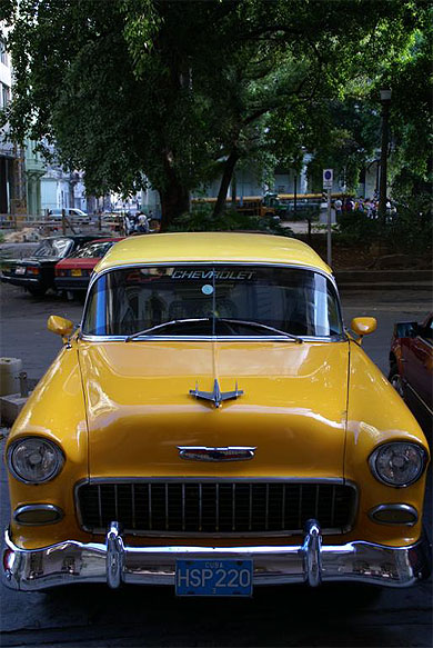 L'embl�me de Cuba!!
