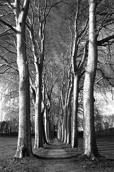 Au bout du chemin