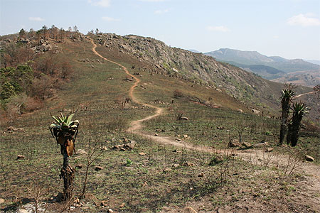 Paysage du Swaziland