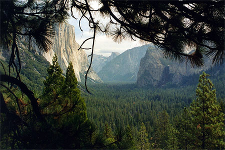 Jurassic park � Yosemite