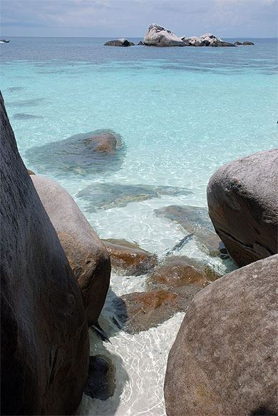 Coral Island