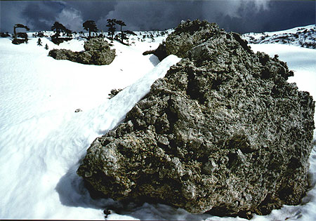 Verso i piani del pollino