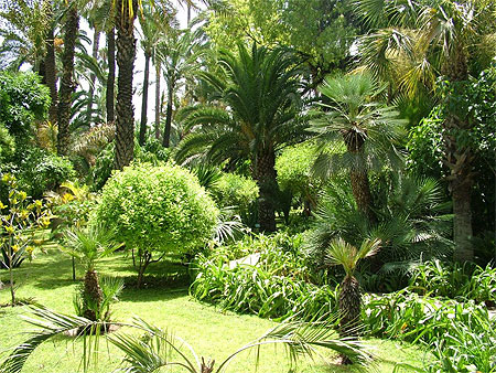 Jardin de majorelle