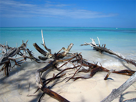 Cayo L�visa