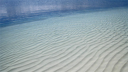 Cayo L�visa