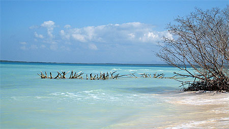 Cayo L�visa
