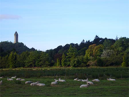 Wallace Monument