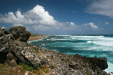 Cot� sauvage de Marie-Galante
