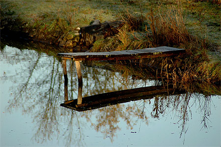 Automne en Sologne