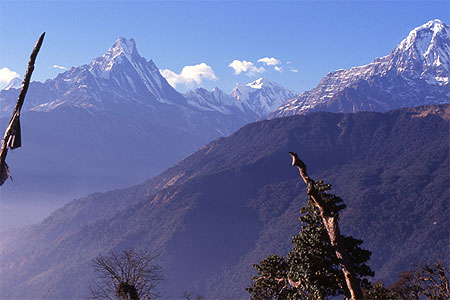 Annapurna