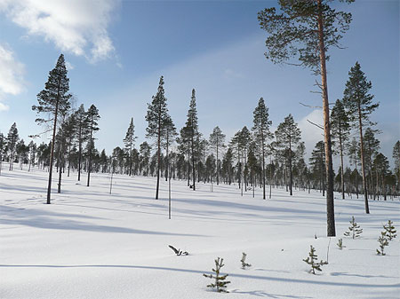 Paysage