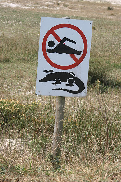Attention pr�sence de crocodiles!